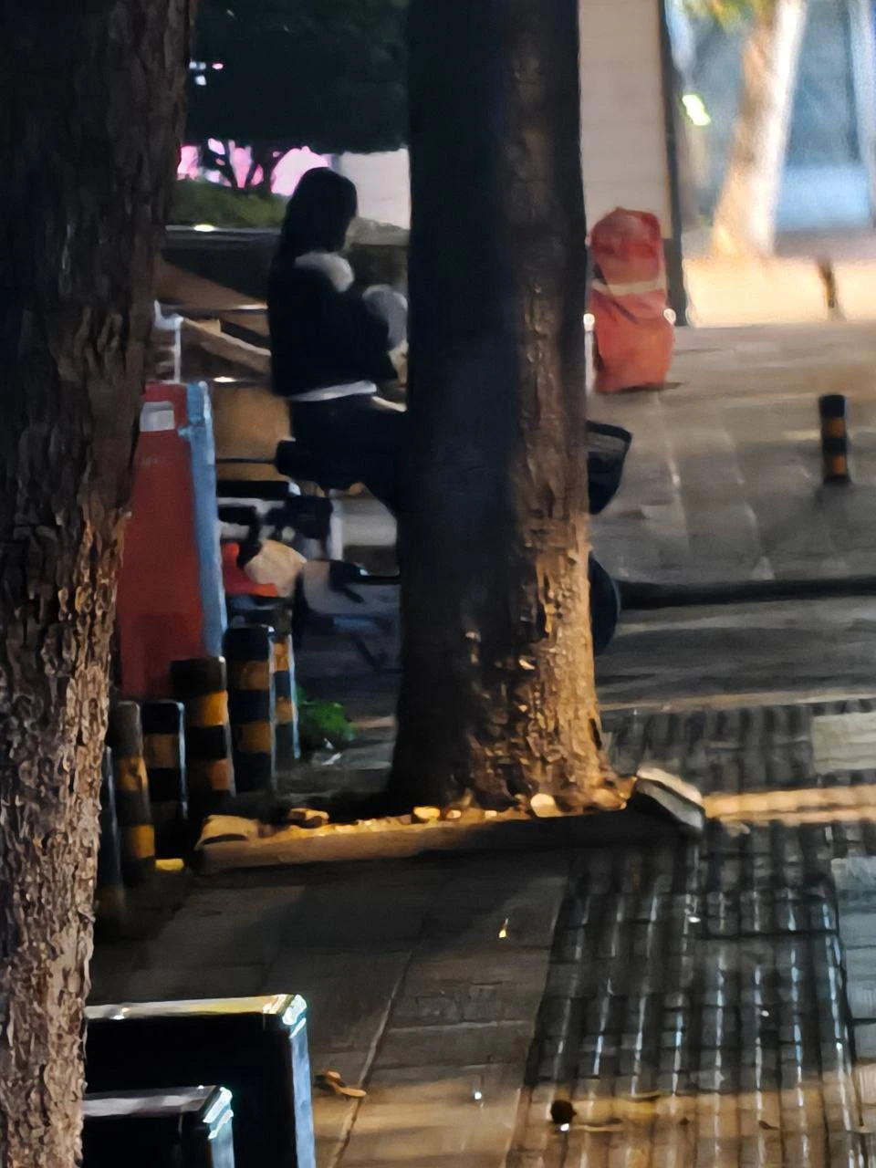 #武汉 #江宏花园 #虾湖垸 #站街 #扫街 #快餐